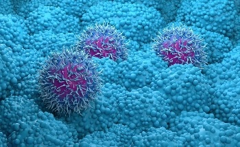 New Model Boosts Pancreatic Cancer Combination Therapy