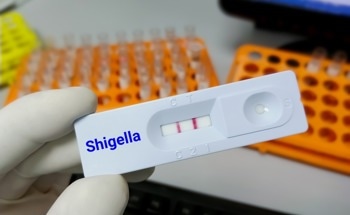 Single Dose Nanovaccine Developed to Help Tackle Shigella