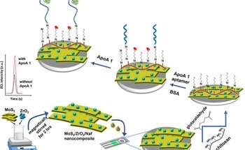 Ultrasensitive Nano-Aptasensor  to Detect Human Apolipoprotein