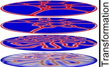 The Transformation Between Different Topological Spin Textures