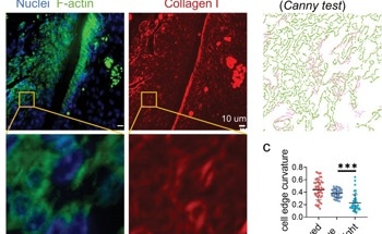 Using Nanofibers to Guide the Development of Novel Biomaterials