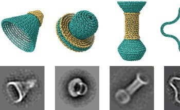 DNA Origami Used to Create Catalog of Nanostructures
