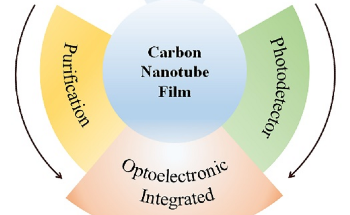 Progress and Constraints in Using Carbon Nanotube Films as Ultrasensitive Photodetectors