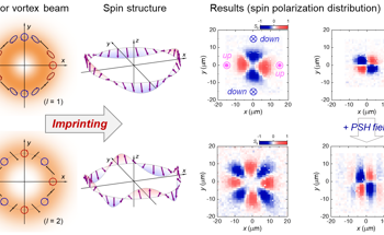 Storing Information with Spins: Creating New Structured Spin States with Spatially Structured Polarized Light