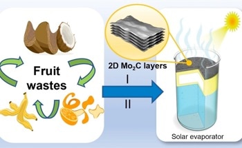 Recycling of Fruit Waste into a MXene Solar Absorber for Water Desalination