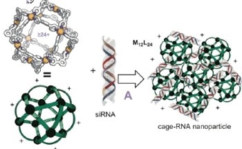 Dedicated Molecular Nanocages for siRNA Delivery