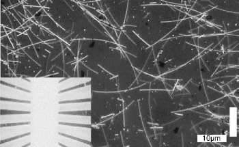 Nanowire Networks Exhibit Human-Like Intelligence
