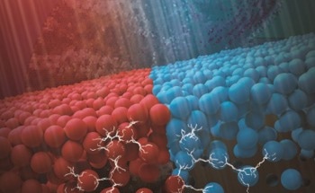 Gaining New Insights Into New Smart Active Materials