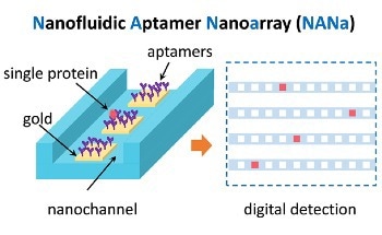 Nanofluidic Nanoarray Captures Single Proteins Stochastically