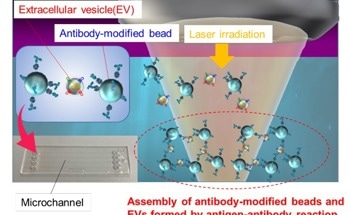 Developing an Ultrasensitive Method for Detecting Nanoscale Extracellular Vesicles