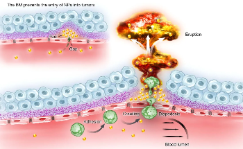 Discovering New Ways to Boost Nanoparticle Delivery to Tumors