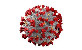 Cell-Derived Nanoparticles Decrease Infectiousness of SARS-CoV-2