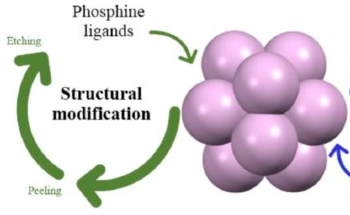 Structural Alteration of Metal Nanoclusters by Phosphine Ligands