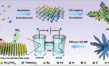 Efficient Production of Ammonia Using a Bimetallic Alloy Nanocatalyst