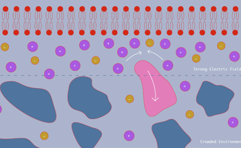 Electric Field in Cells Stop Nanoparticles Entering Membrane