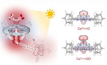 Nanosheet Material Outperforms Most COF-based Photocatalysts