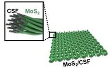 Advanced Photoelectrochemical Cells with MoS2 Nanoflakes