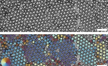 Unlocking the Potential of Shape-Shifting Materials