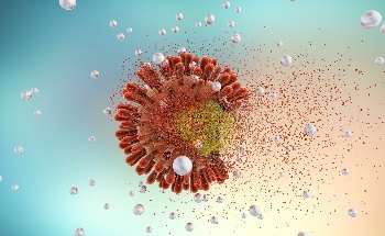 Nanoparticles Derived from Waste Product Effectively Target Cancer Cells