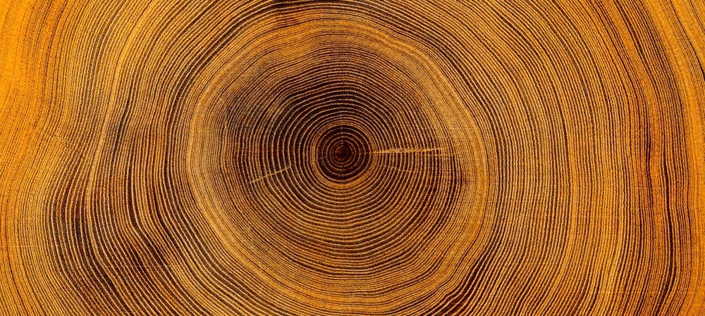 Halloysite Nanotubes Grown in 'Tree Rings' via Easy Method - Vimarsana News