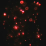 Visualization of Nanoparticles