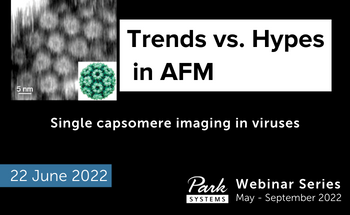 Single capsomere imaging in viruses