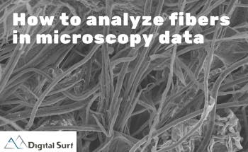 How to analyze fibers in microscopy data