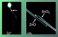 AZoNano - The A to Z of Nanotechnology : Lawrence Berkeley National Laboratory Move a Step Closer to Photonic Waveguides