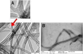 Examples of Junction structure MWNTs under A) TEM and B) STEM