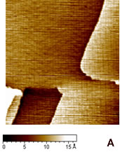 Online Journal of Nanotechnology - Constant current STM image of Au(111) terraces. Scan size 180 x 180 nm. Tunnelling current 50 pA and 0.2 V bias and scan rate 3 Hz. The cross section profile is shown in the lateral panel.