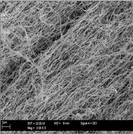 SEM Images of carbon nanotubes reaction temperature 850°C, hydrogen flow rate 300 ml/min and reaction time 45min.