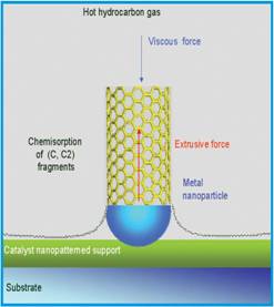 Sketch of the carbon nanotube growth process.